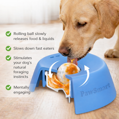 PawSmart™ Slow Feeder Bowl